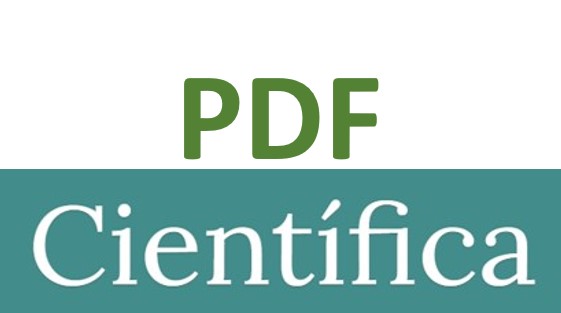 PDF